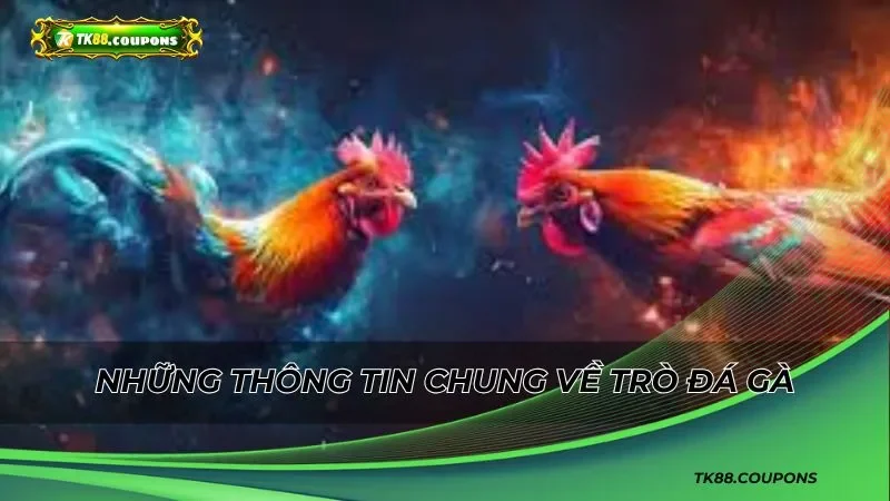 Lý Do Chọn TK88 Khi Trải Nghiệm Cá Cược Đá Gà