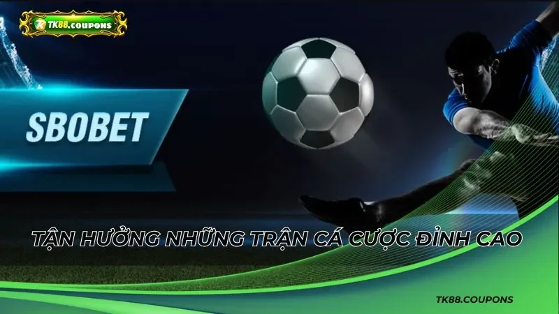 Những điểm độc đáo làm nên tên tuổi của Sbobet TK88